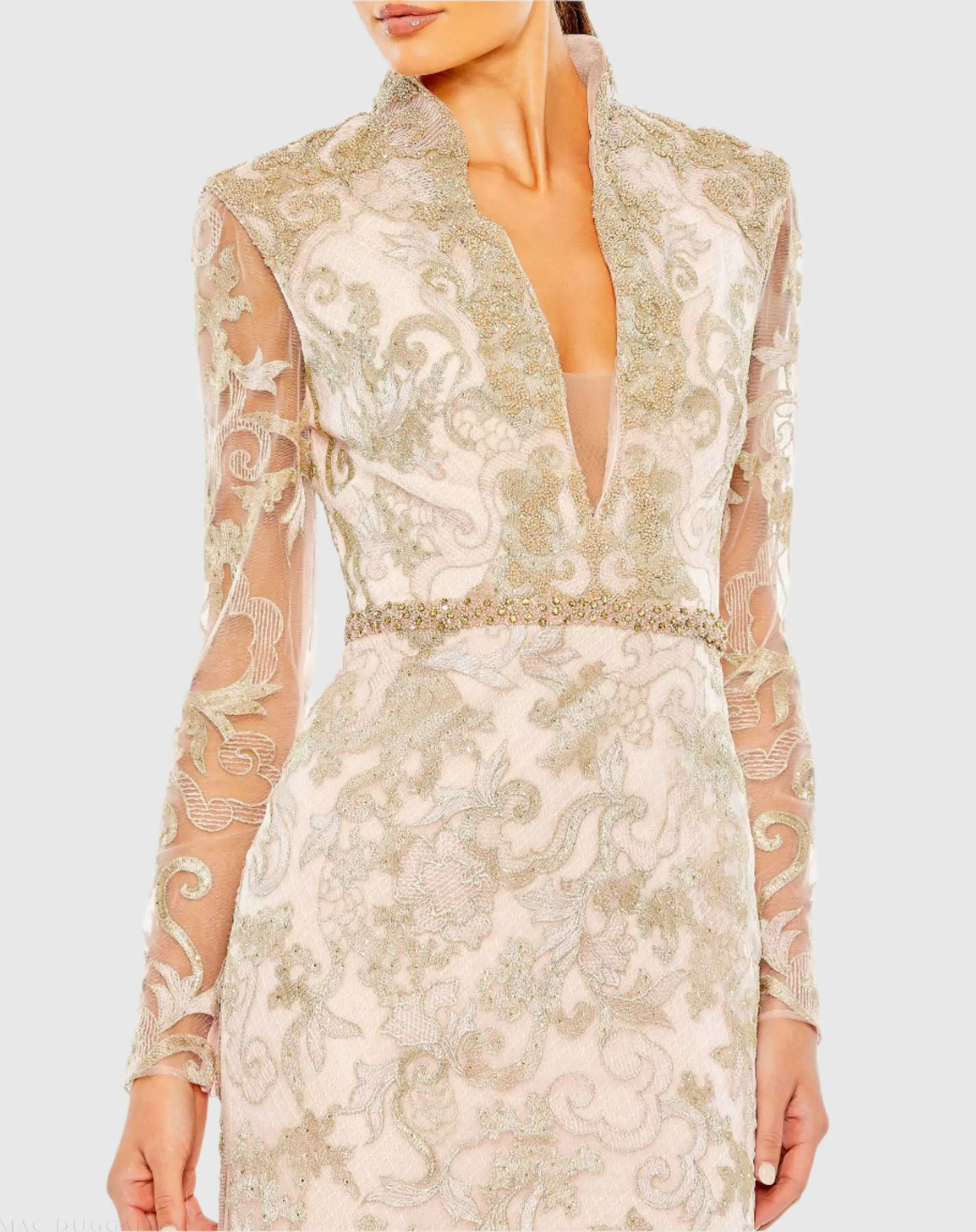 Pink Queen Anne Lace Long Sleeve V-Neck Trumpet  Gown - Image 2